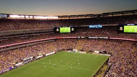 意大利击败荷兰黑马 夺回戴维斯杯冠军